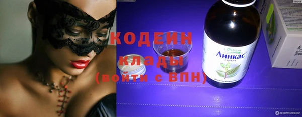 хмурый Ветлуга
