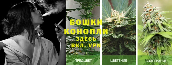 соль курить ск Вяземский