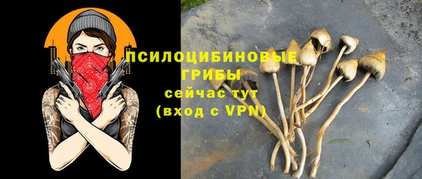 mdpv Весьегонск