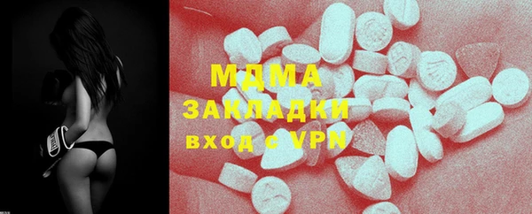 шишки Слюдянка