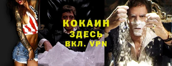 дмт Видное