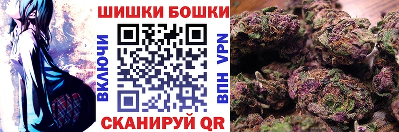 Канабис план  KRAKEN ССЫЛКА  Гдов 